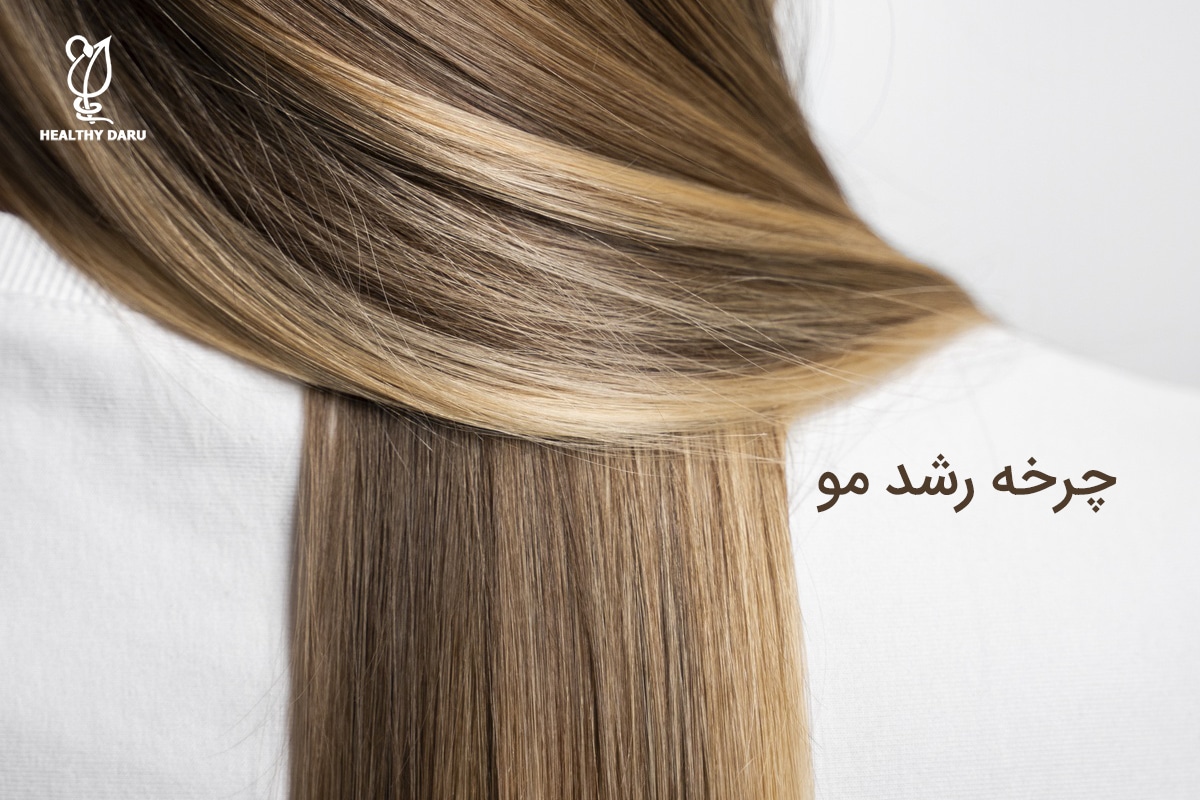 چرخه رشد مو شامل چه مراحلی است؟