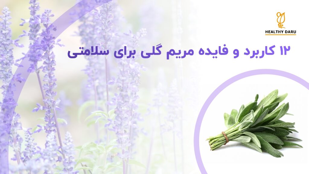 12 کاربرد و فایده مریم‌ گلی چیست؟ هلثی دارو