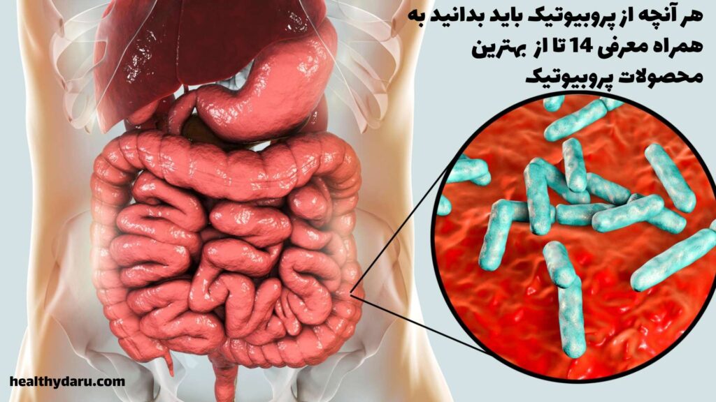 معرفی 14 تا از بهترین محصولات پروبیوتیک. و توضیح کامل درباره خواص هر کدام.