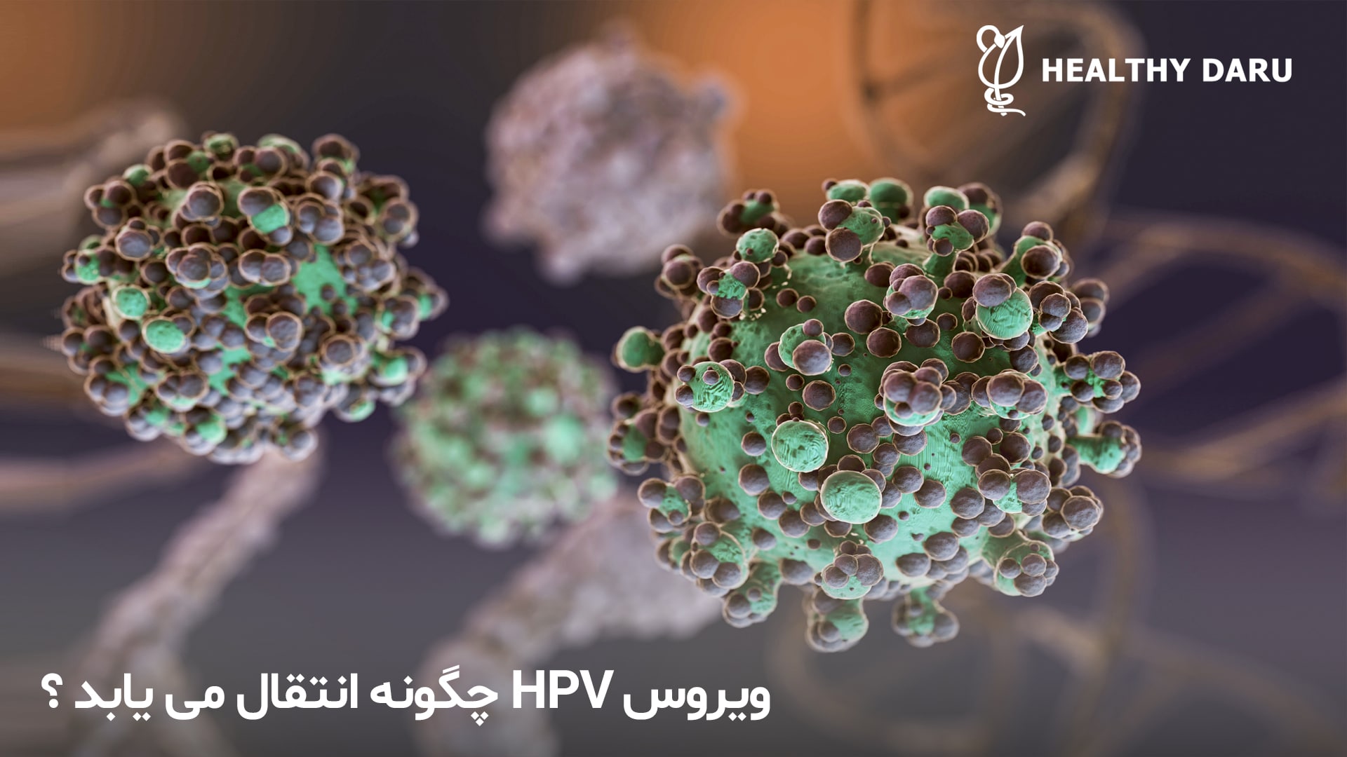 ویروس HPV چگونه انتقال می یابد؟