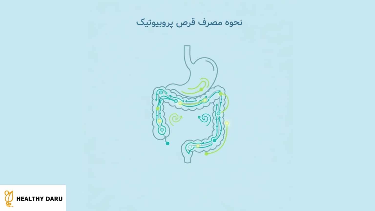 پروبیوتیک برای لاغری شکم | بهترین سویه، نحوه مصرف و اثر واقعی نحوه مصرف پروبیوتیک