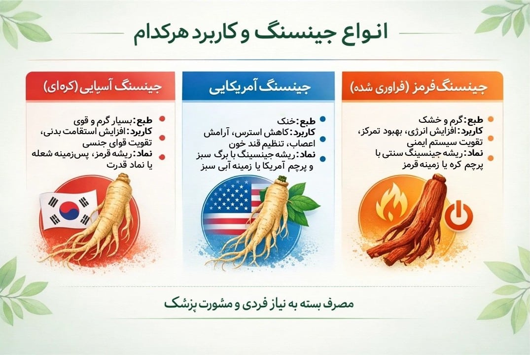 خواص و فواید جینسینگ؛ از اکسیر جوانی تا تقویت قوای جنسی خواص