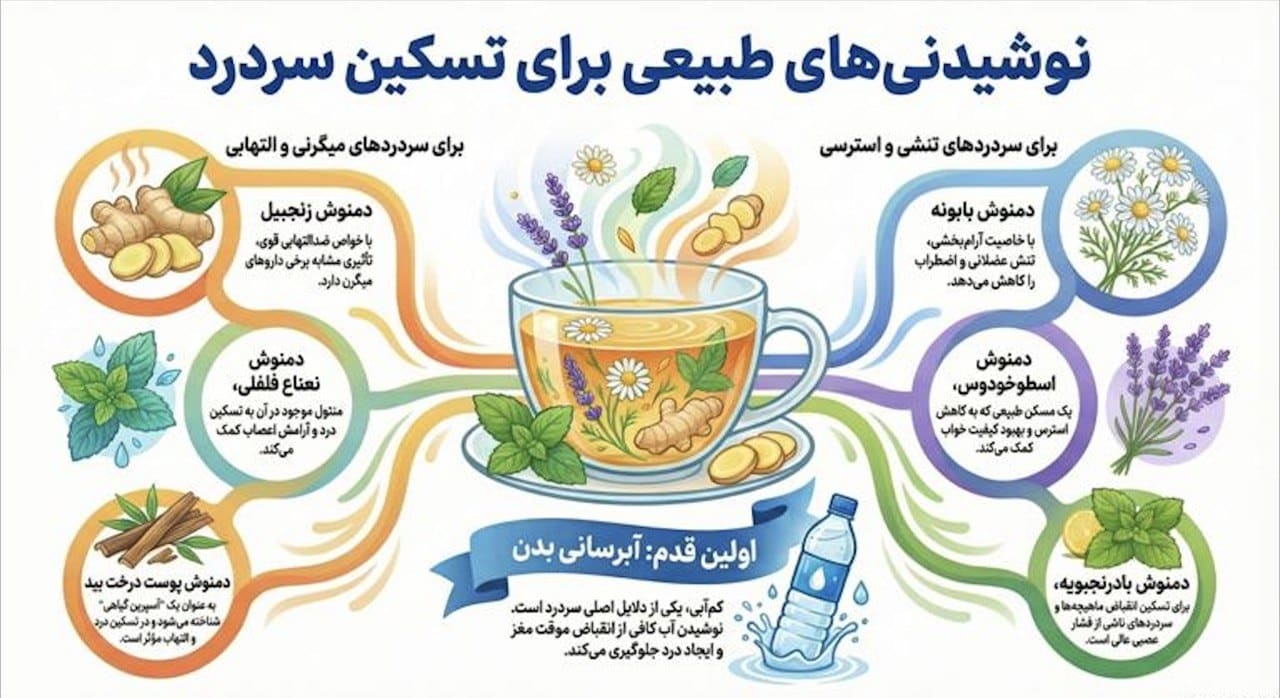 دمنوشهای گیاهی برای سردرد؛ راهی ساده و طبیعی برای آرام شدن درد دمنوش