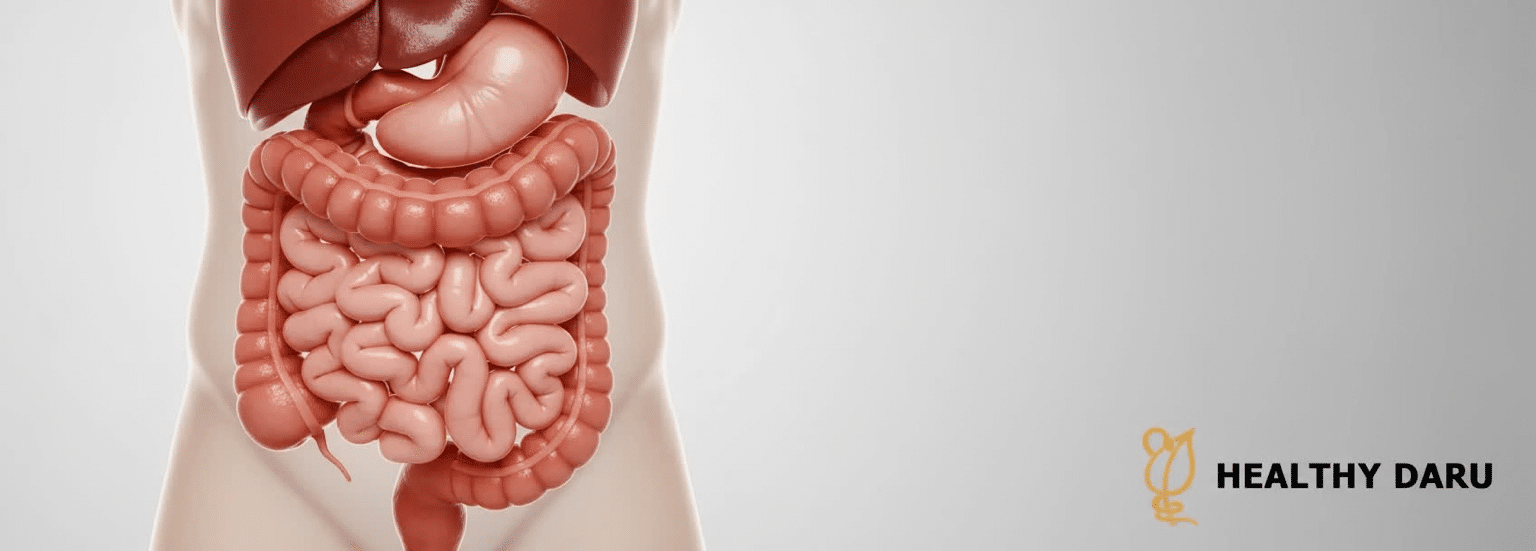 آیا خاکشیر برای یبوست مؤثر است؟|بررسی علمی، روش مصرف و نکات ایمن یبوست