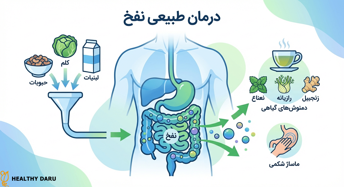 ۱۵ علت نفخ شکم؛ از رژیم غذایی تا بیماریهای پنهان + راههای درمان سریع درمان طبیعی نفخ