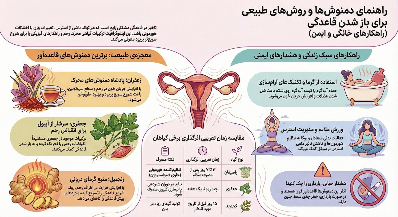 بهترین دمنوشها برای پریود شدن سریع؛ بررسی علمی، روش مصرف دمنوش